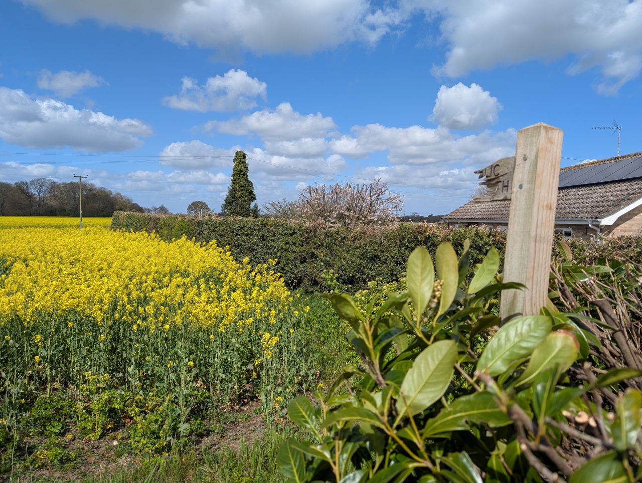 2026-04-12 22 Haddiscoe and Toft Monks.jpg